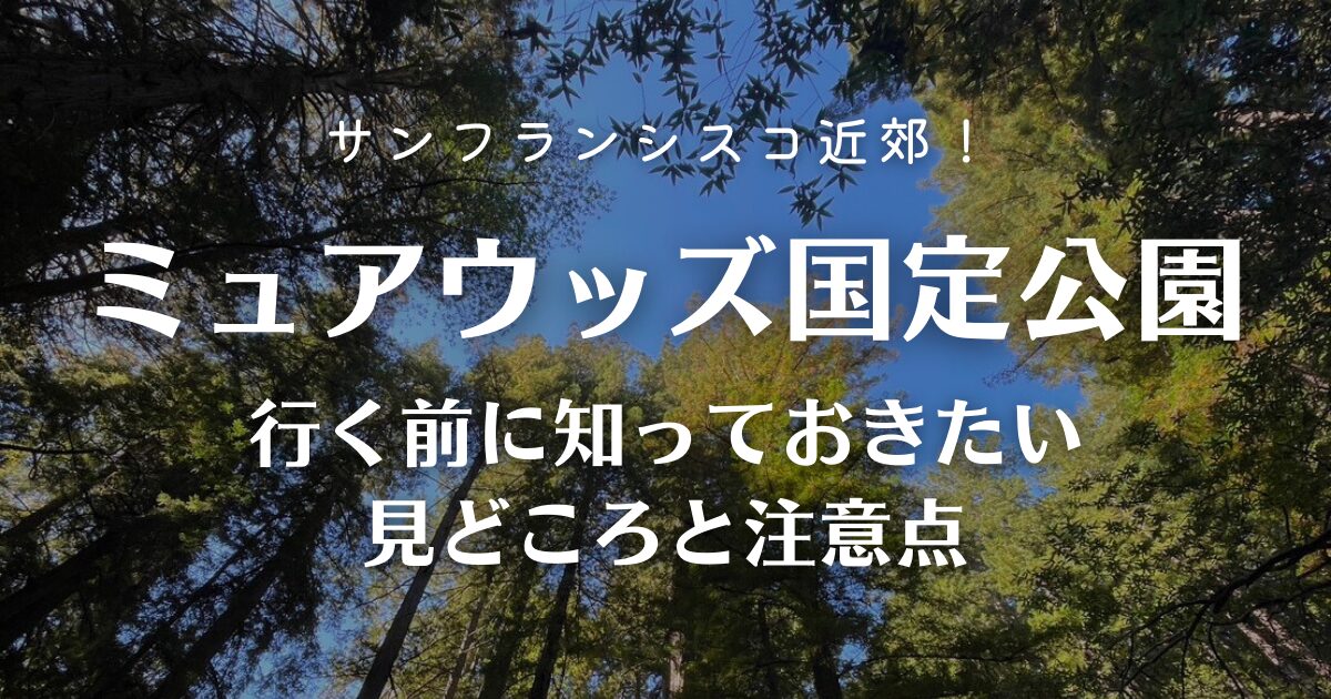 ミュアウッズ国定公園